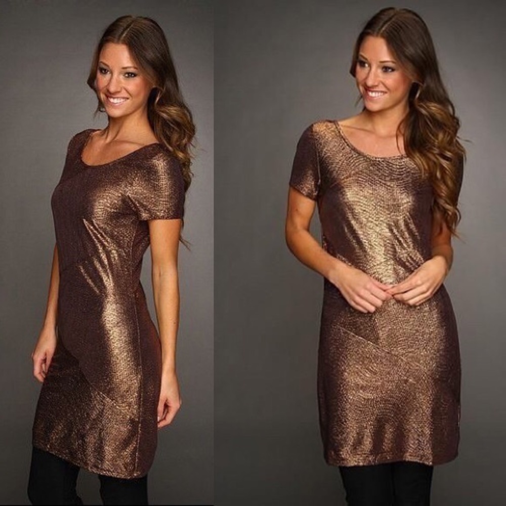 Free people bronze dress